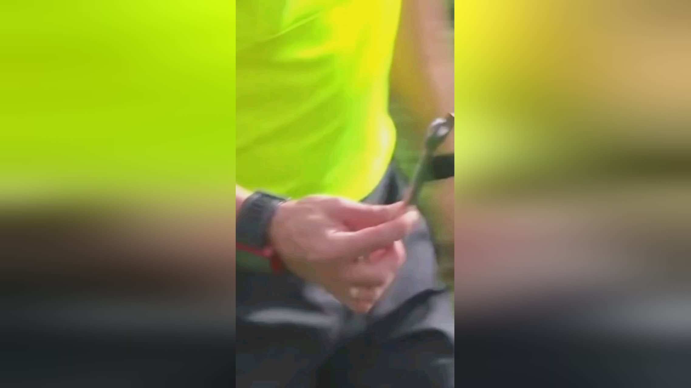 面我们可